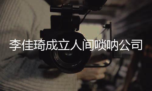 网友合伙人间唢婧呐公李佳立人司 是金琦成